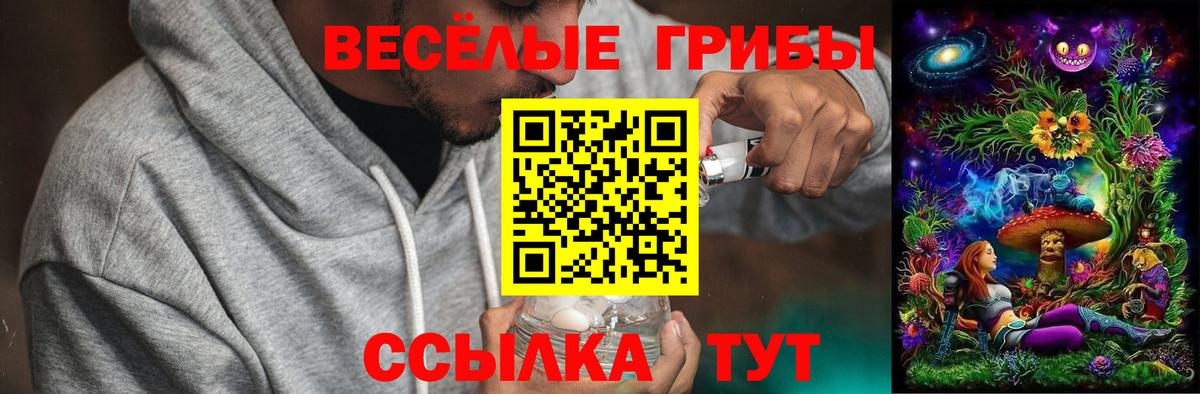 Галлюциногенные грибы мухоморы  Вход с VPN  Тавда  Псилоцибиновые грибы Magic Shrooms 