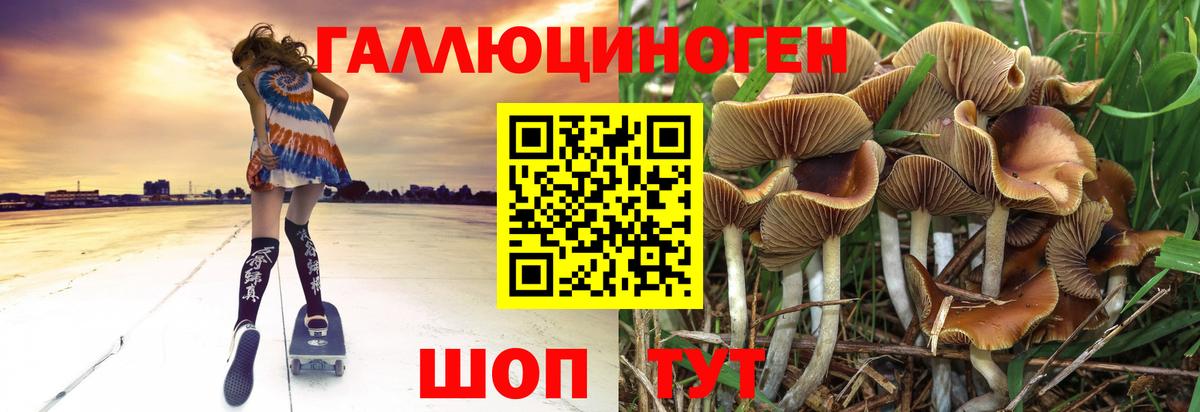 Псилоцибиновые грибы ЛСД Тавда